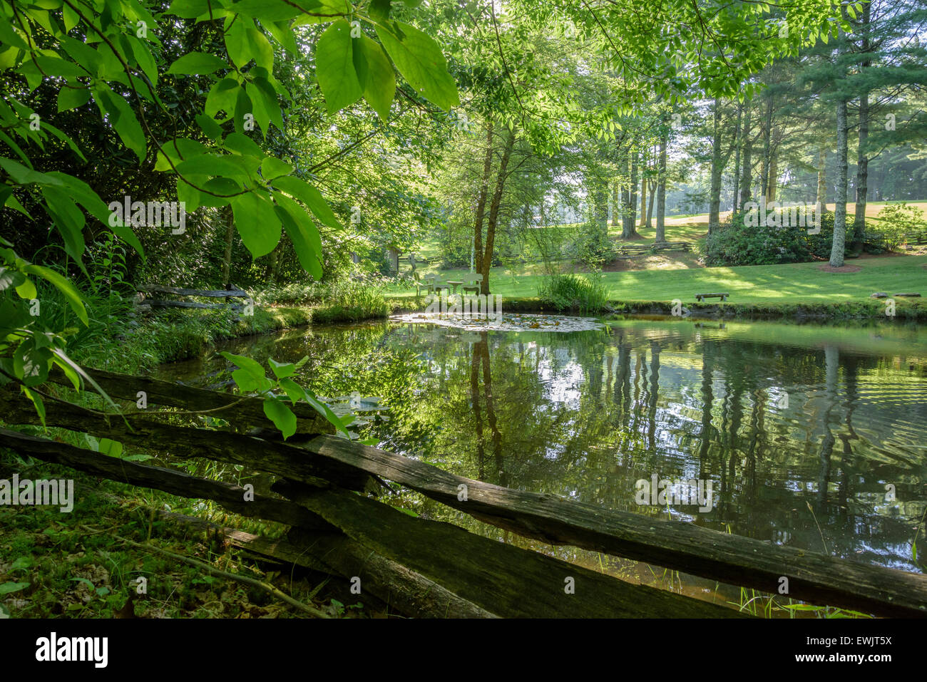 Riflettendo, coy pond, North Carolina station wagon. Foto Stock