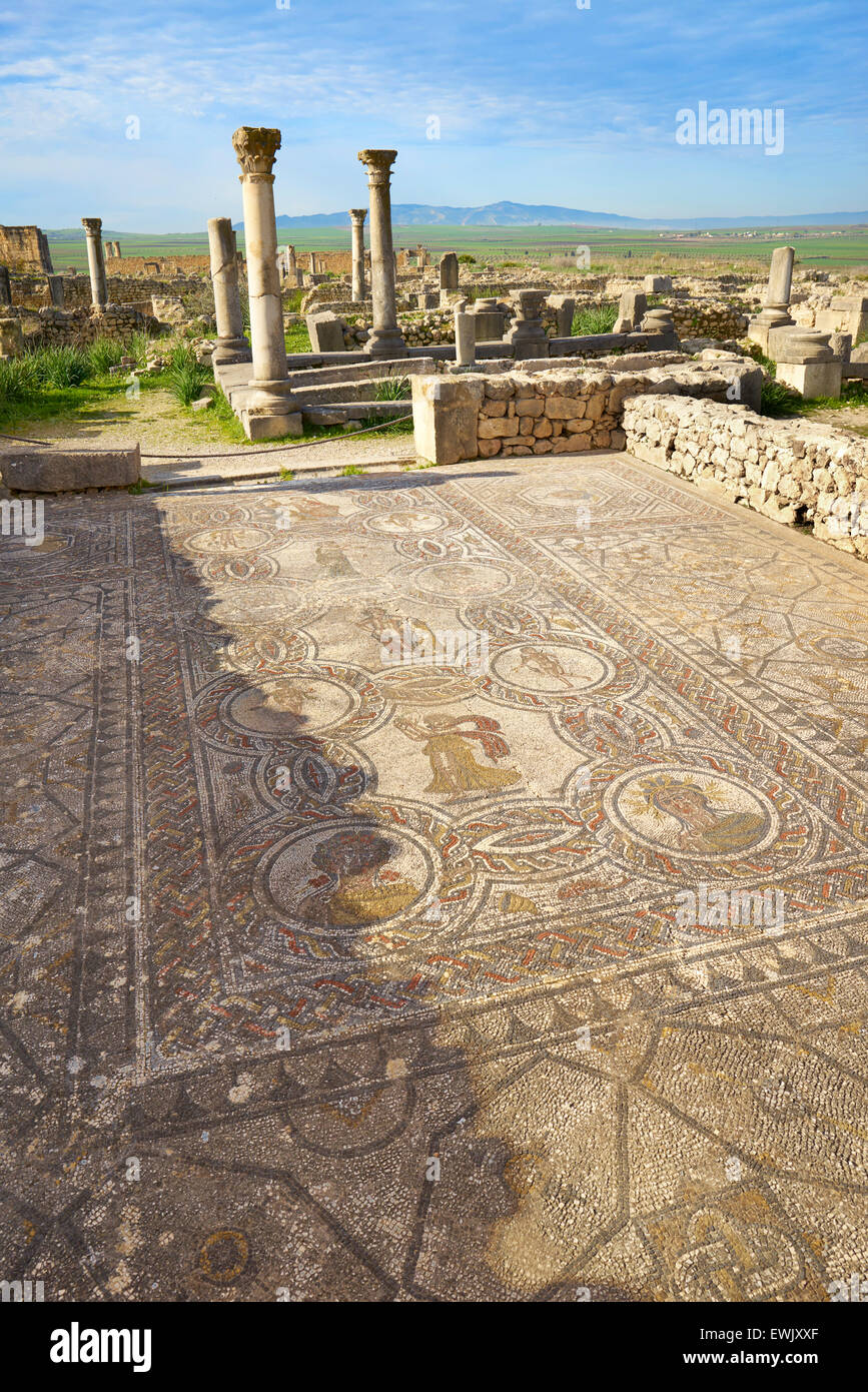 Le rovine romane di Volubilis, casa di Dioniso, Meknes regione, UNESCO, Marocco, Africa Foto Stock