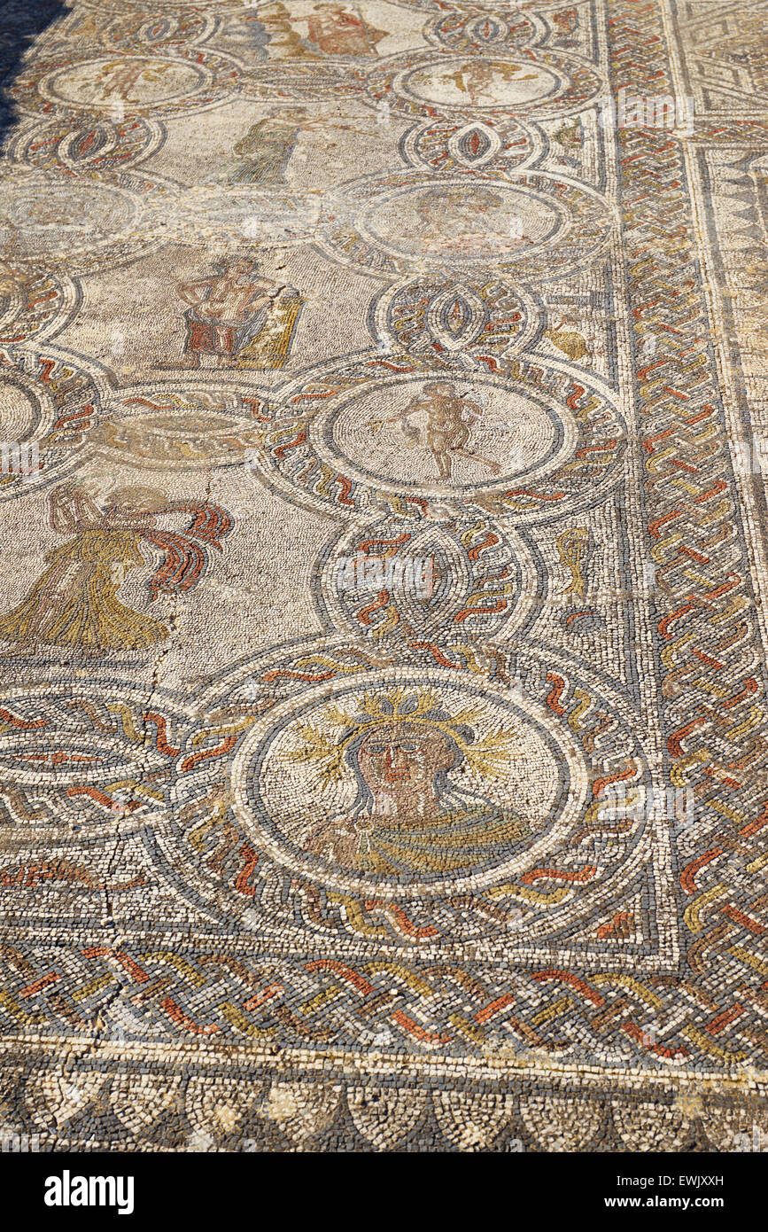 Un mosaico di rovine Romane di Volubilis, casa di Dioniso, Meknes regione, UNESCO, Marocco, Africa Foto Stock