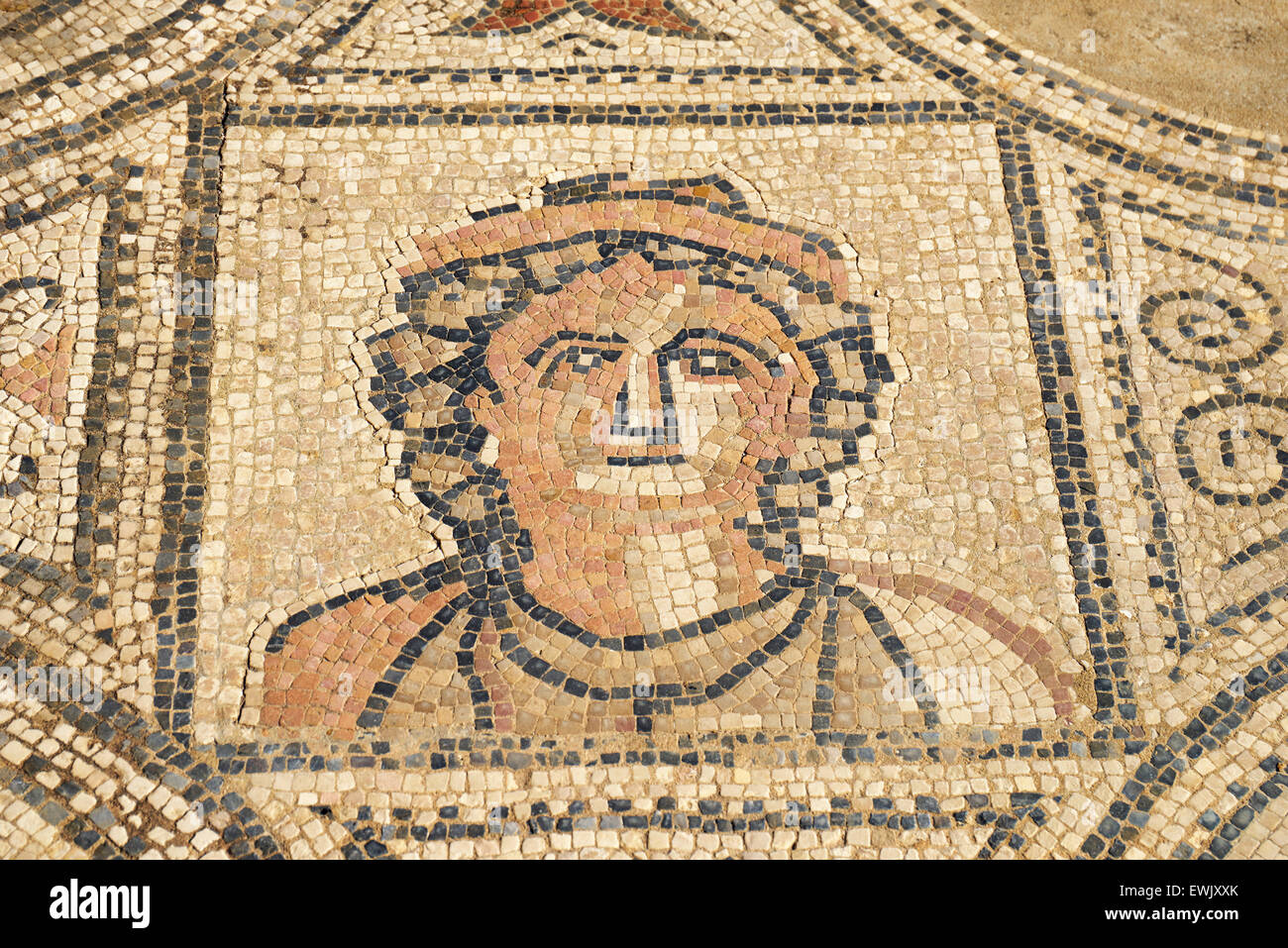 Un mosaico di rovine Romane di Volubilis, casa delle fatiche di Ercole, Meknes regione, UNESCO, Marocco, Africa Foto Stock