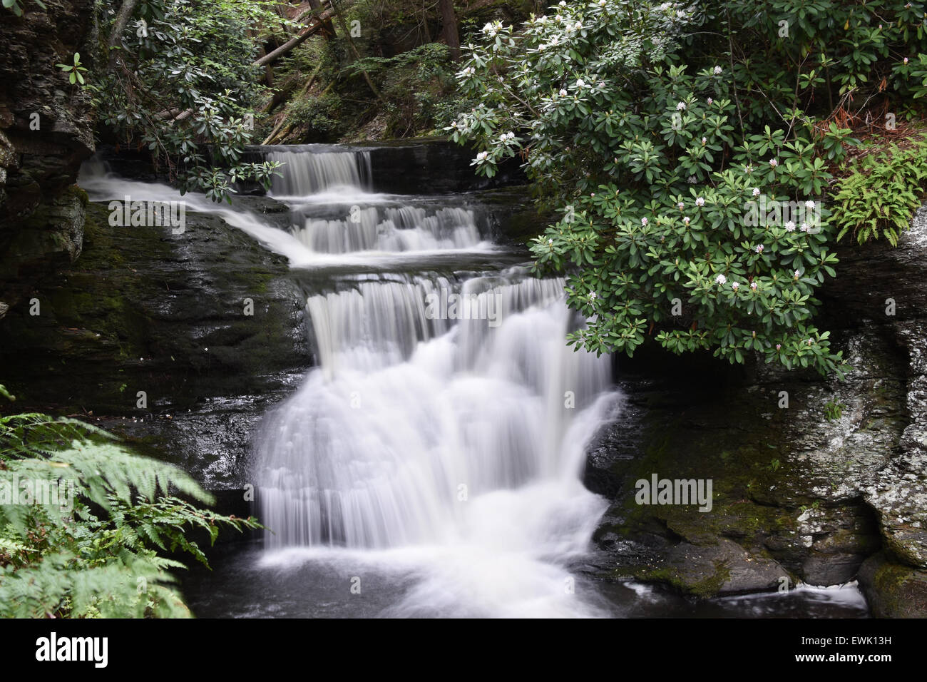 Bella cascata in New Jersey Montagne Foto Stock