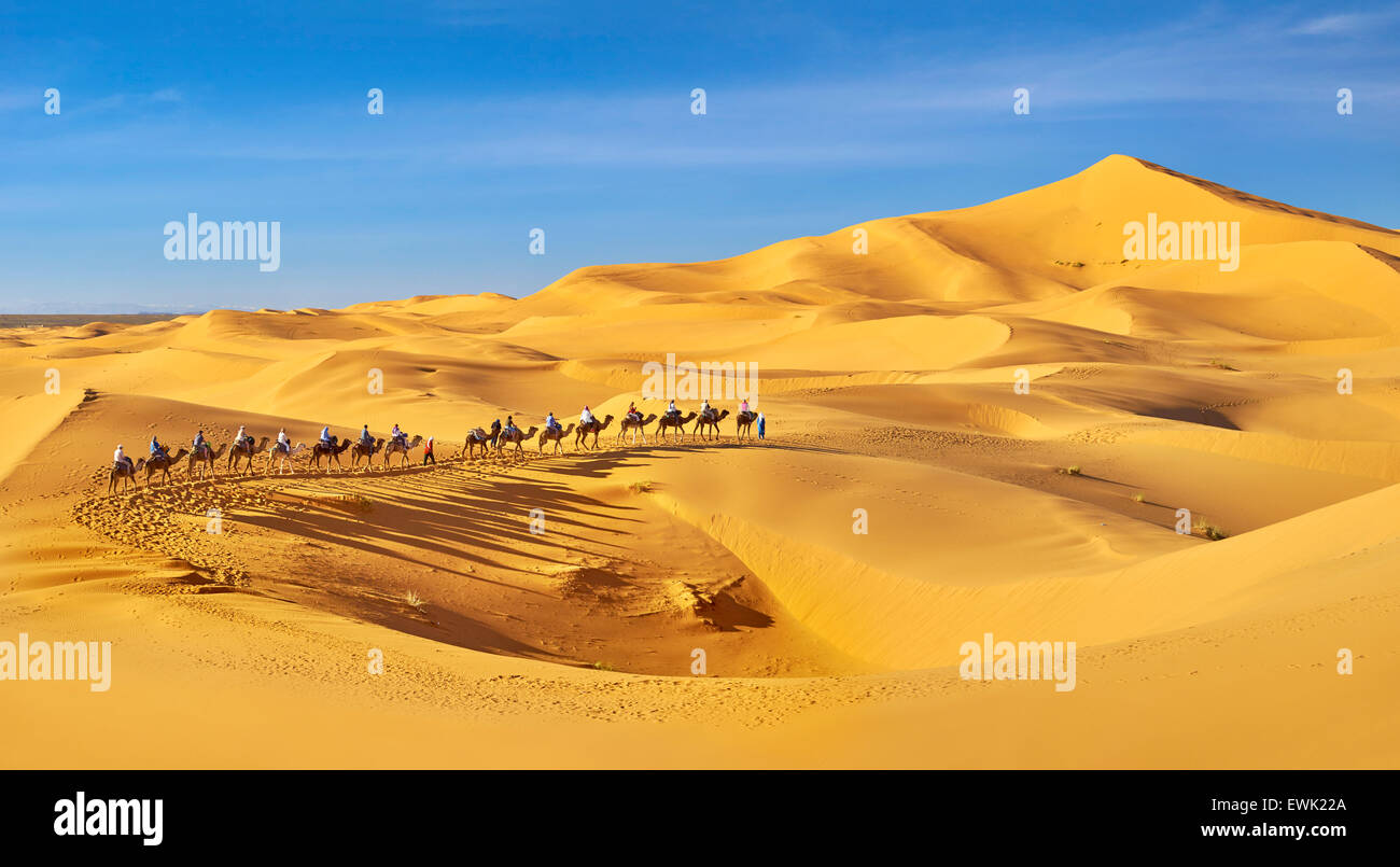 Camel caravan, Erg Chebbi deserto vicino a Merzouga, Sahara, Marocco Foto Stock