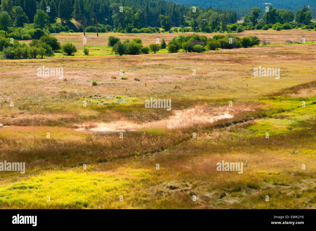 Forcella centrale John giorno River Valley, Dunstan Homestead preservare, Oregon Foto Stock