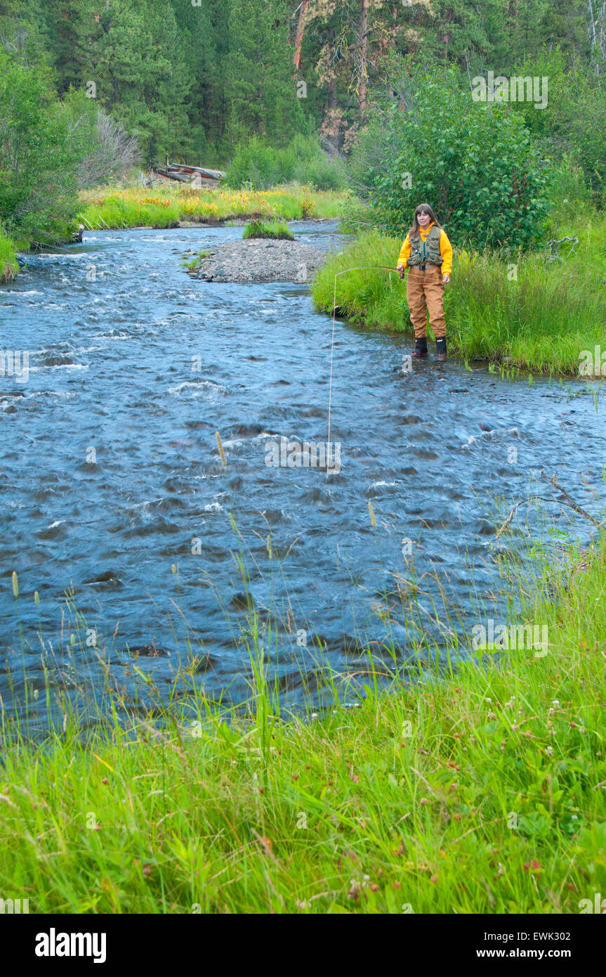 Pesca a mosca, North Fork Malheur selvatica e Scenic River, Malheur National Forest, Oregon Foto Stock