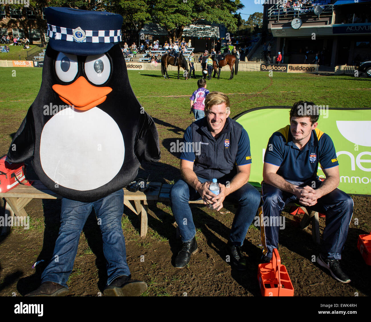 Sydney, Australia. Il 27 giugno, 2015. NSW mascotte di polizia Constable Charlie Penguin frequentato il fuoco e di salvataggio NSW partita di rugby contro il NSW forza di polizia presso l Università di Sydney No.1 ovale in Sydney Credito: MediaServicesAP/Alamy Live News Foto Stock