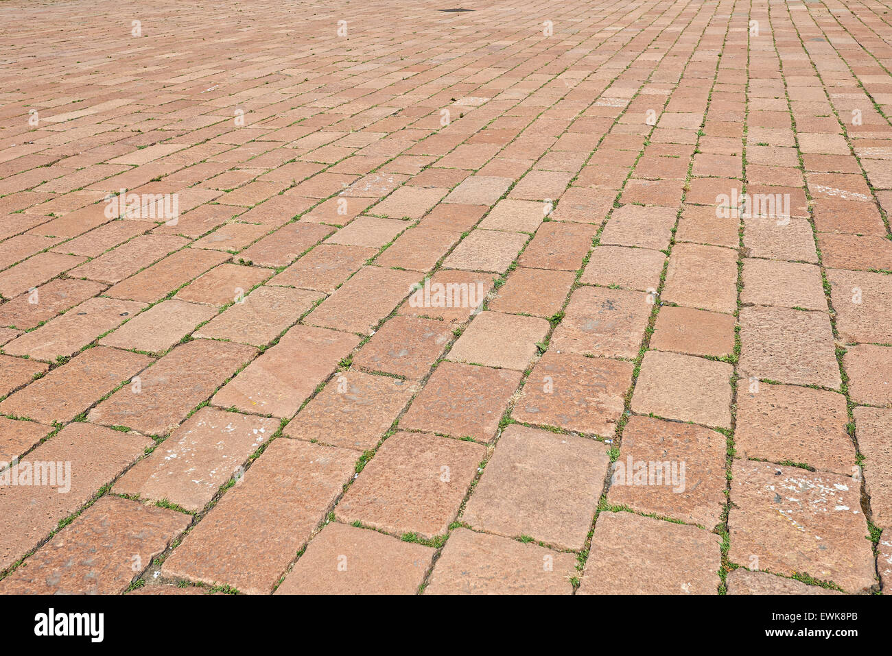 Il blocco di pavimentazione. pattern Pavimentata con pietre con erbacce tra mattoni Foto Stock