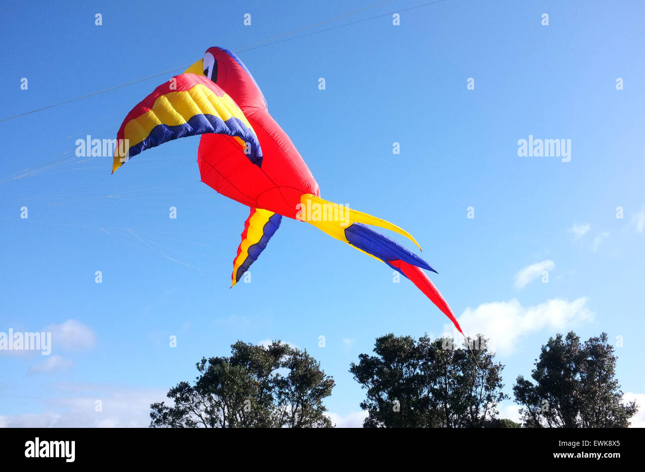 Auckland, Nuova Zelanda. Il 28 giugno, 2015. Aquiloni di tutte le forme e dimensioni di volare nel cielo chiaro durante la Manu Puketapapa Aute Kite Giornata al Parco Winstone in Mount Roskill, Auckland, Zelanda presi Domenica, 28 giugno 2015. Credito: Aloysius Patrimonio/Alamy Live News Foto Stock