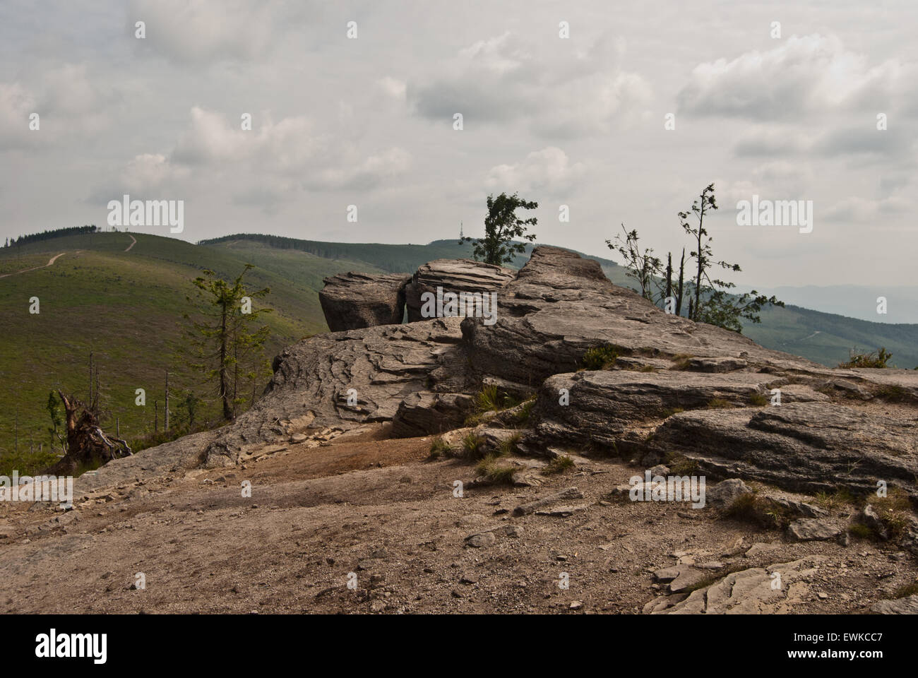 Roccia Arenaria formazione sul Malinowska Skala collina di Beskid Slaski mountains Foto Stock