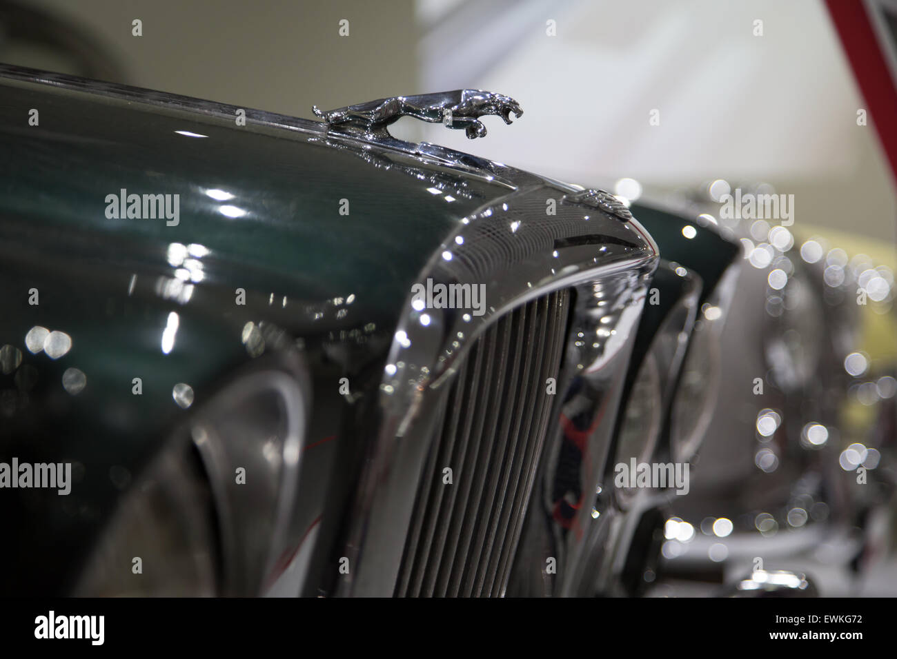 Close up della Jaguar classic car collection sul display a Coventry Transport Museum Foto Stock