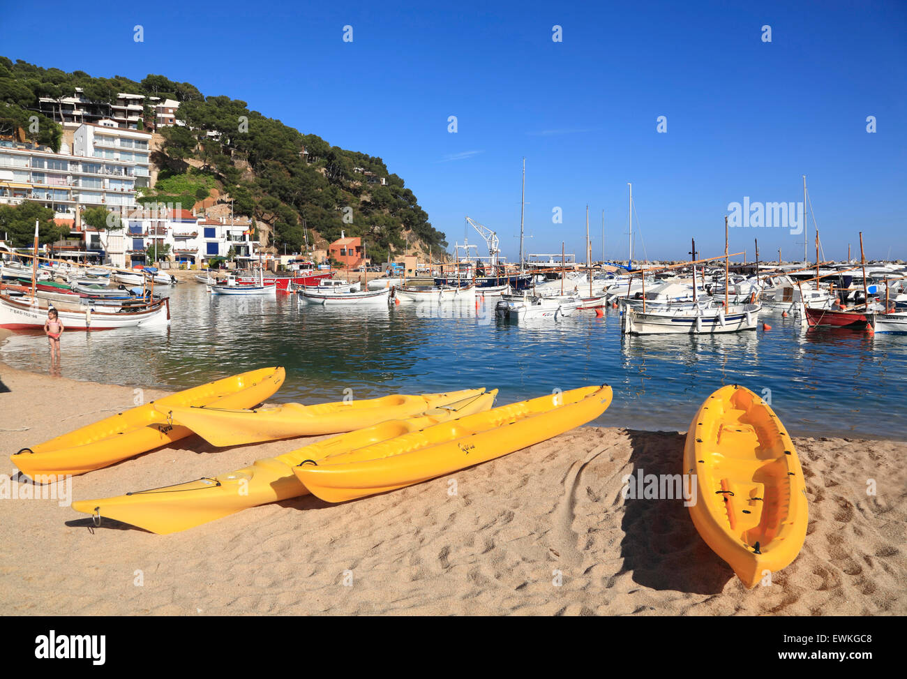 Calella Palafrugell, Llafranc bay, Catalogna, Spagna, Europa Foto Stock