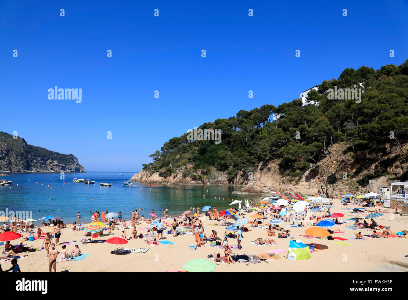Aiguablava spiaggia vicino a Begur in Costa Brava Catalogna, Europa Foto Stock