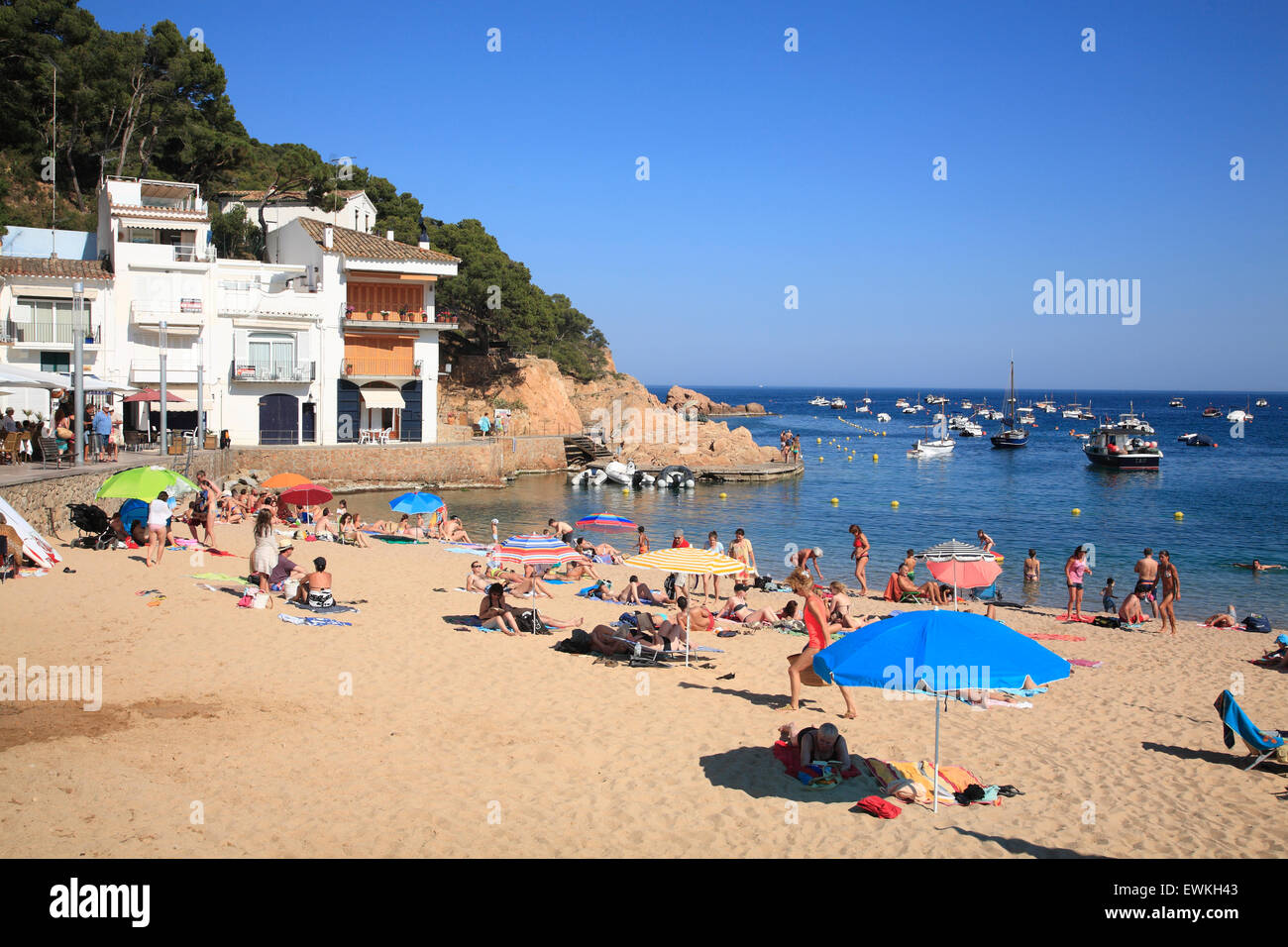 Cala Spiaggia di Tamariu, in Costa Brava Catalogna, Spagna, Europa Foto Stock