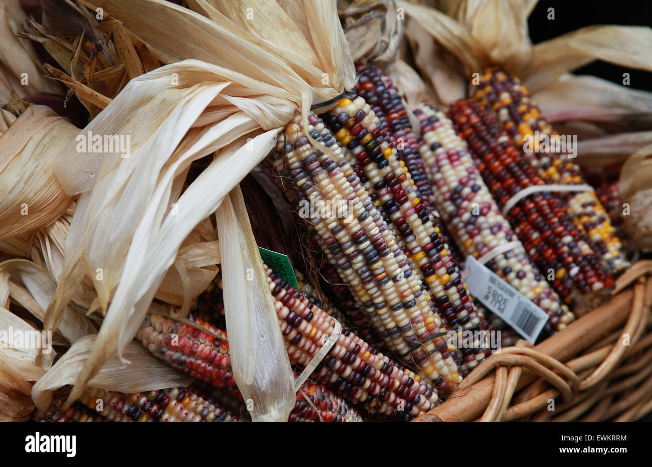 Cesto pieno di variopinte indiano del Kernel Foto Stock