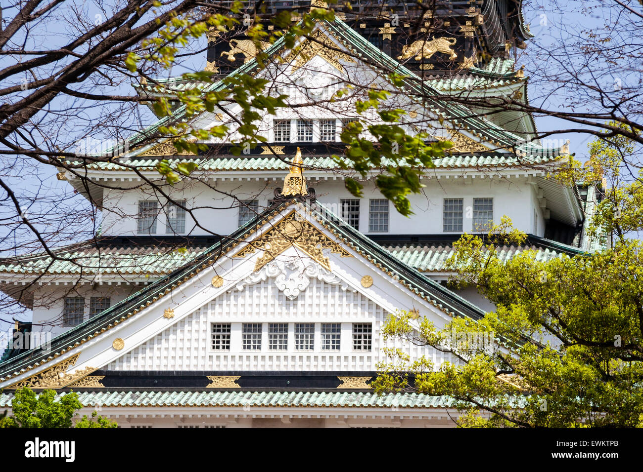 Il castello di Osaka. Close up shot teleobiettivo della parte superiore del tenshu, il castello di mantenere, sullo sfondo di un cielo blu chiaro. Torre di guardia sulla sommità di mantenere. Foto Stock