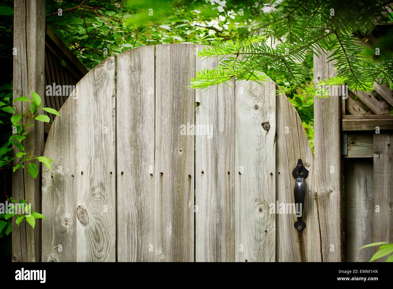 Vecchia porta di legno in giardino. Foto Stock