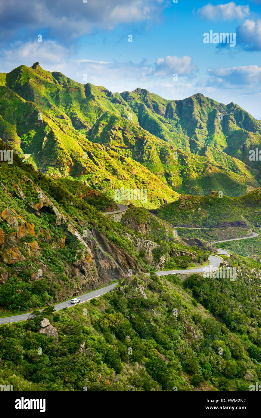 Anaga Parco Rurale, Tenerife, Isole Canarie, Spagna Foto Stock
