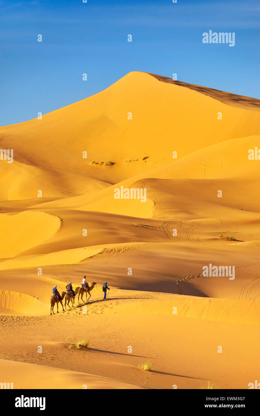 I turisti di marcia sui cammelli, Erg Chebbi deserto vicino a Merzouga, Sahara, Marocco Foto Stock