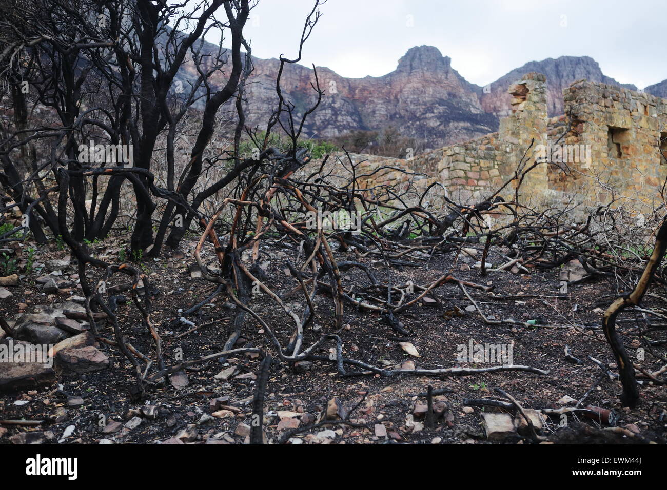 Est Fort rovine (Hout Bay) al tramonto, dopo i recenti bushfires nella Penisola del Capo Foto Stock