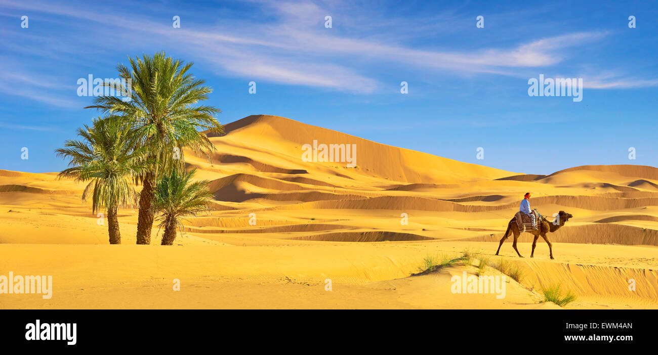 Berber uomo giro sul cammello, Erg Chebbi deserto vicino a Merzouga, Sahara, Marocco Foto Stock