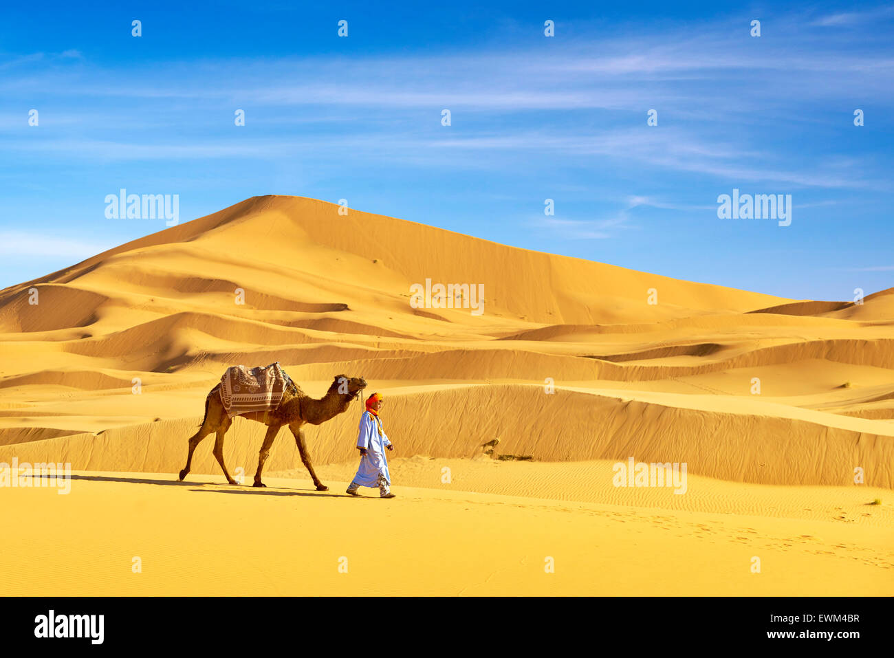 Berber con il suo cammello sul Sahara Desert Dune, Marocco Foto Stock