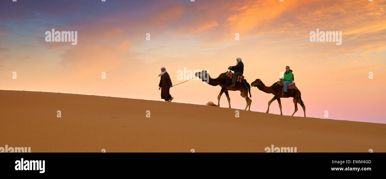 Camel caravan, Erg Chebbi deserto vicino a Merzouga, Sahara, Marocco Foto Stock