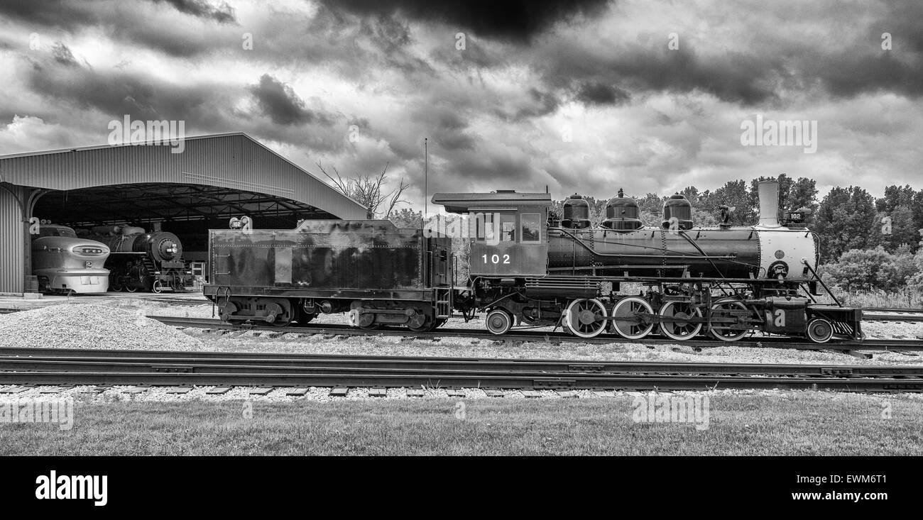 Wisconsin, Green Bay, National Railroad Museum Foto Stock