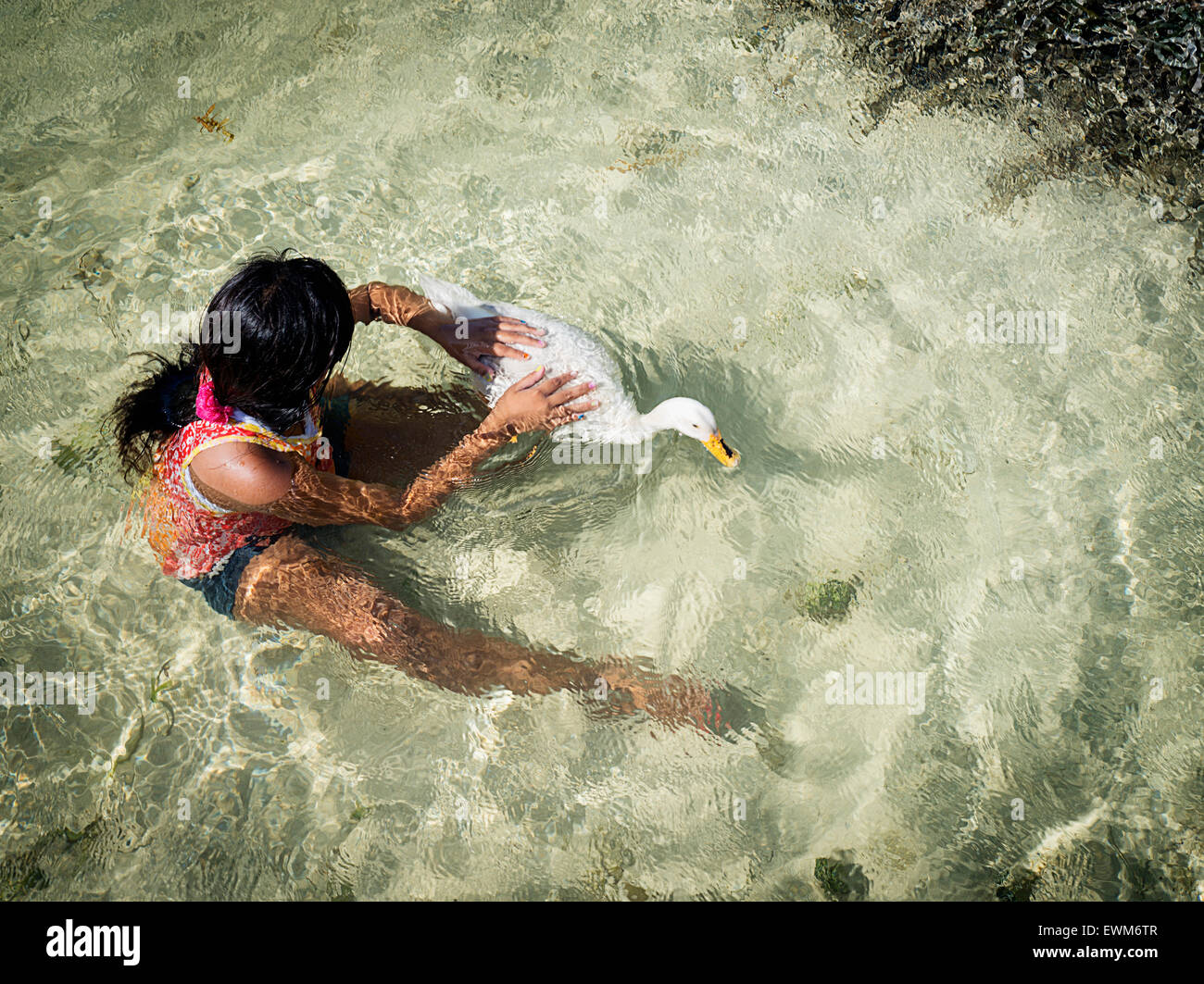 Una ragazza che gioca con il suo animale domestico anatra in Belize. Foto Stock