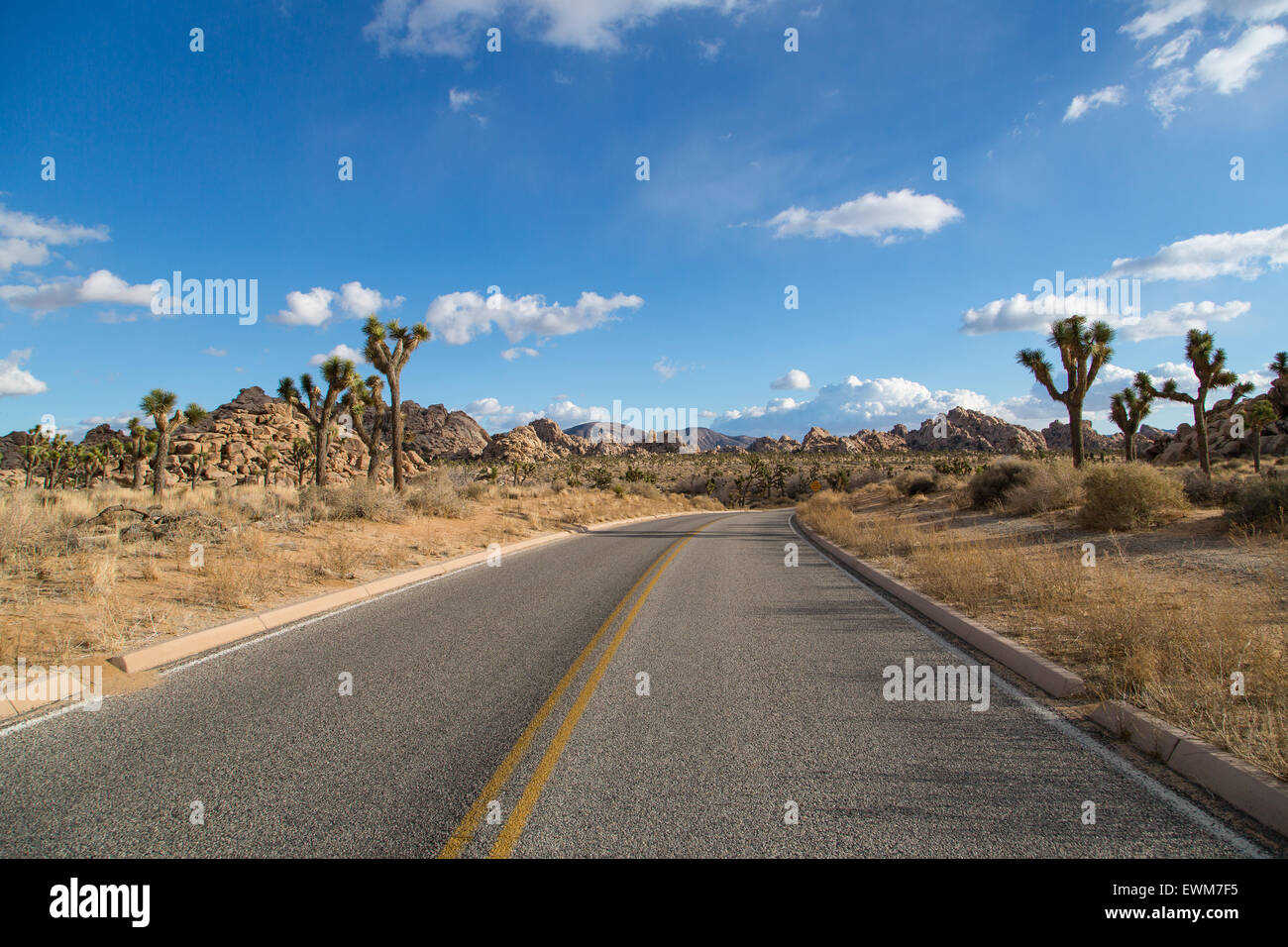 Park Boulevard si snoda attraverso le rocce del parco nazionale di Joshua Tree. Foto Stock