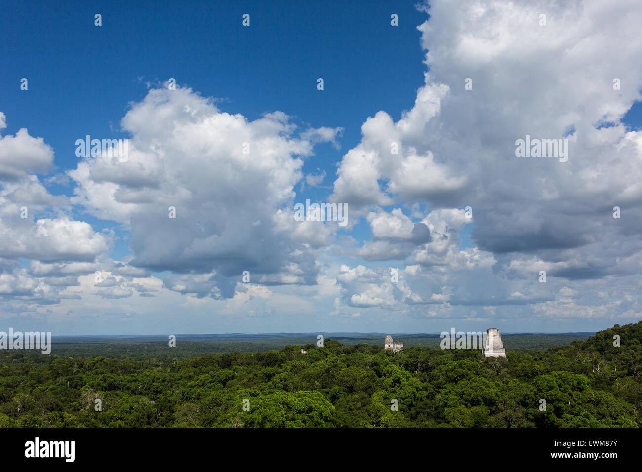 Una vista delle piramidi di Tikal che sorge fuori della giungla. Foto Stock