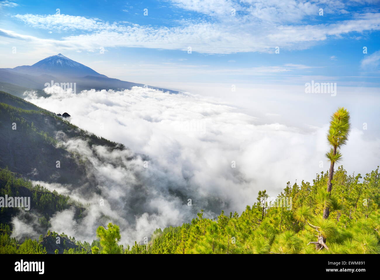 Tenerife - Vulcano Teide Monte sopra il mare di nubi, Isole Canarie, Spagna Foto Stock