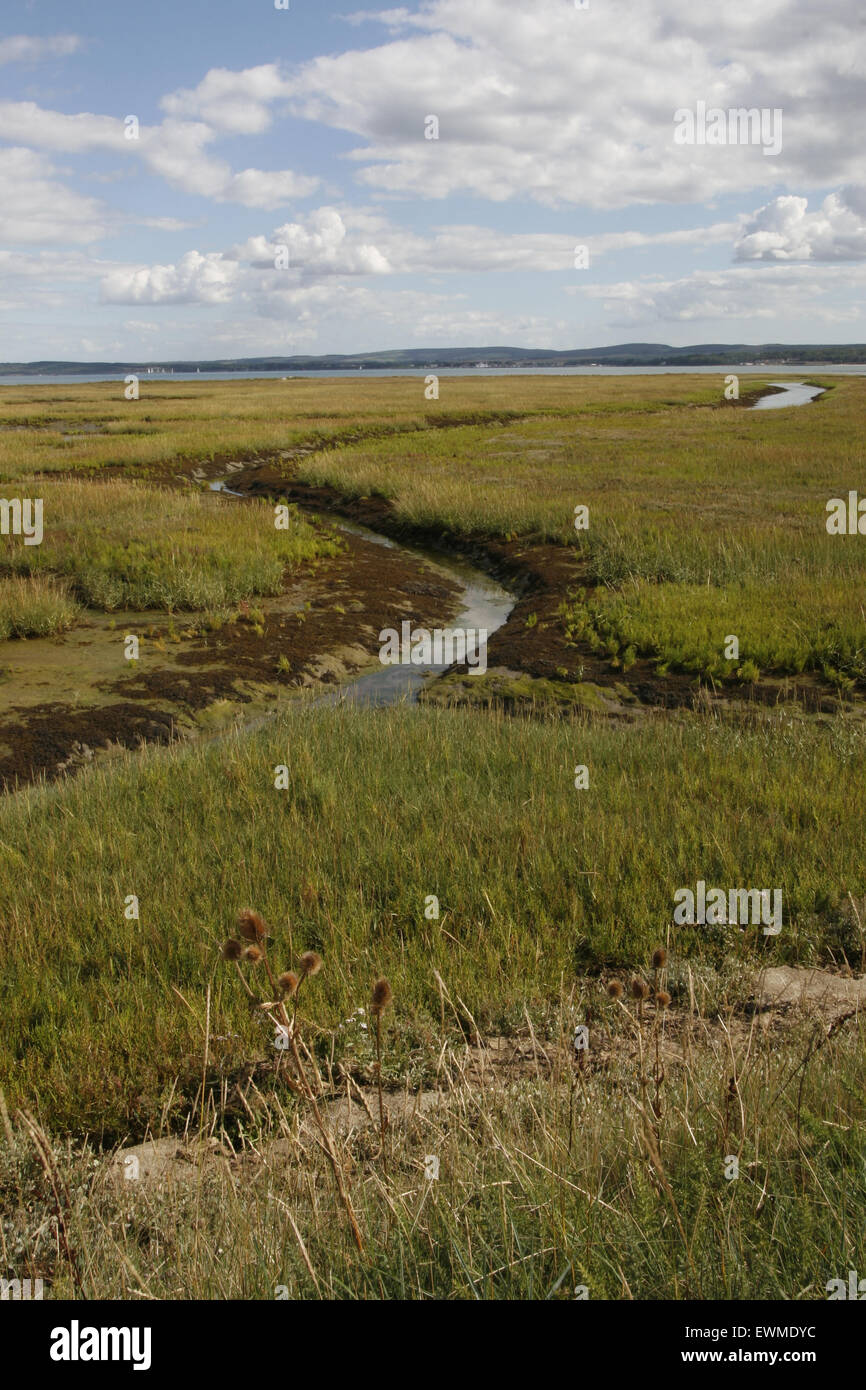 Keyhaven a bassa marea HAMPSHIRE REGNO UNITO Foto Stock