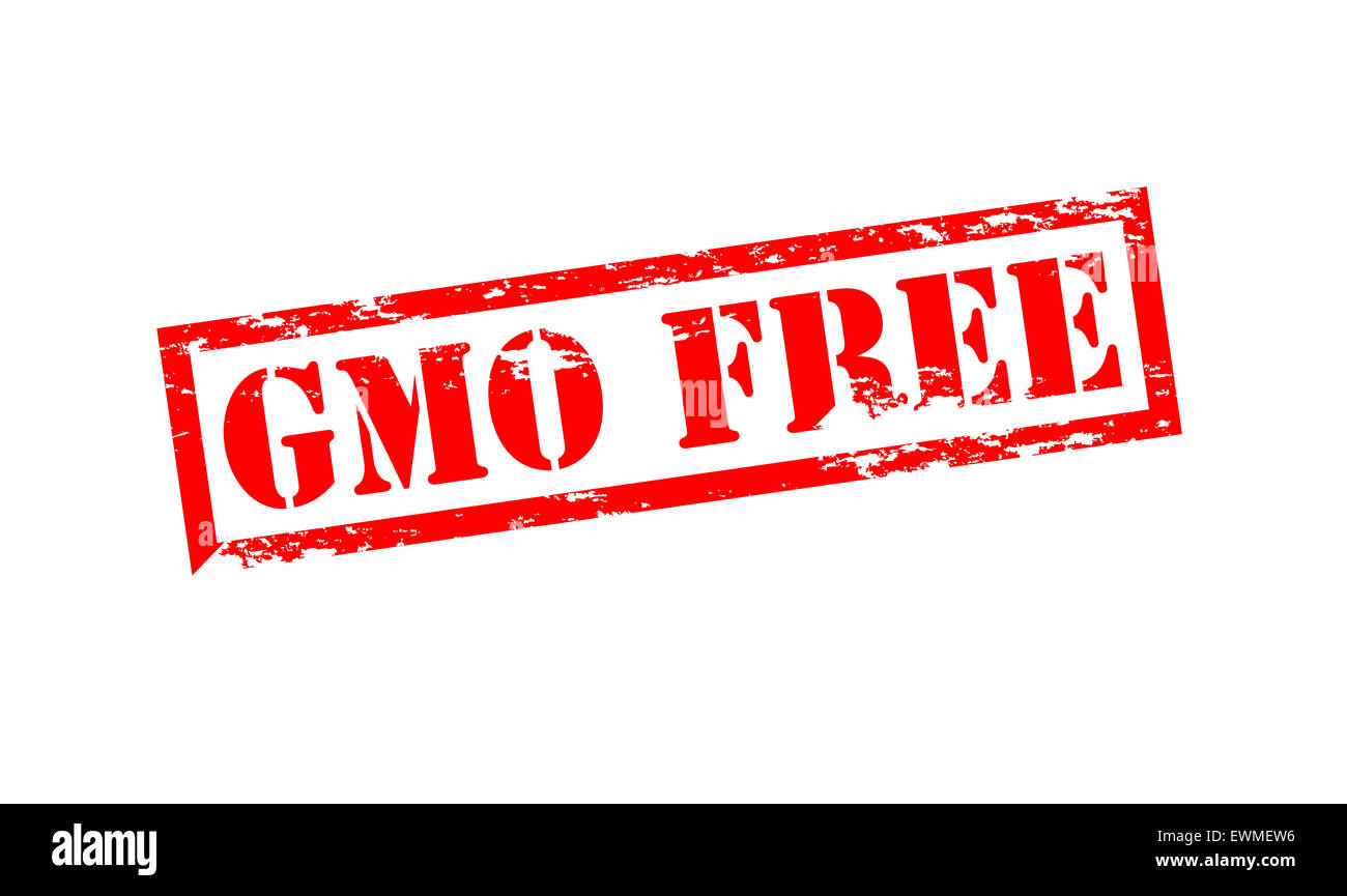 Timbro di gomma con testo libero di OGM all'interno, illustrazione Foto Stock