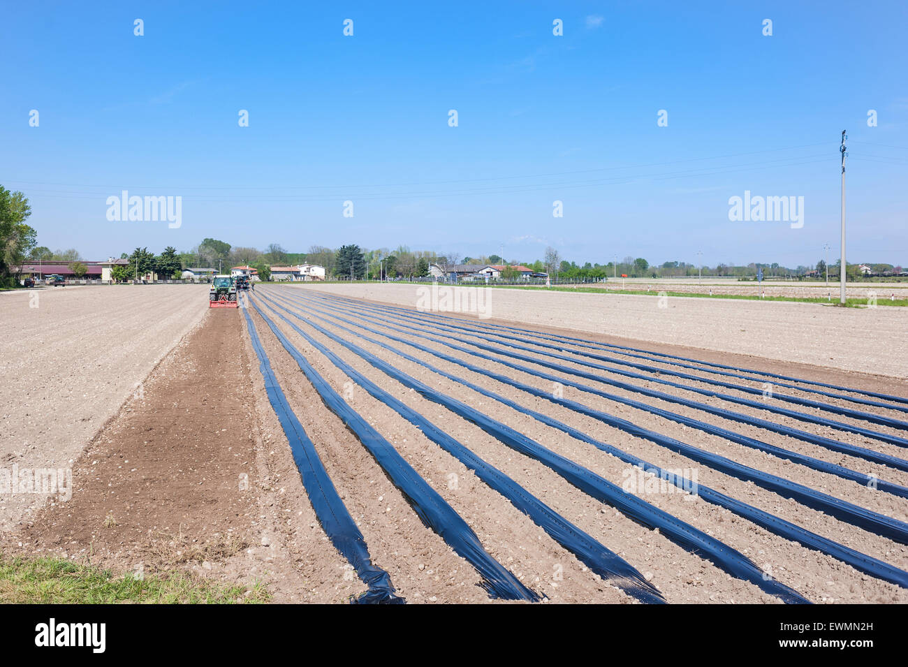 Il lavoro agricolo: preparare i campi per piantare le barbatelle di viti Foto Stock