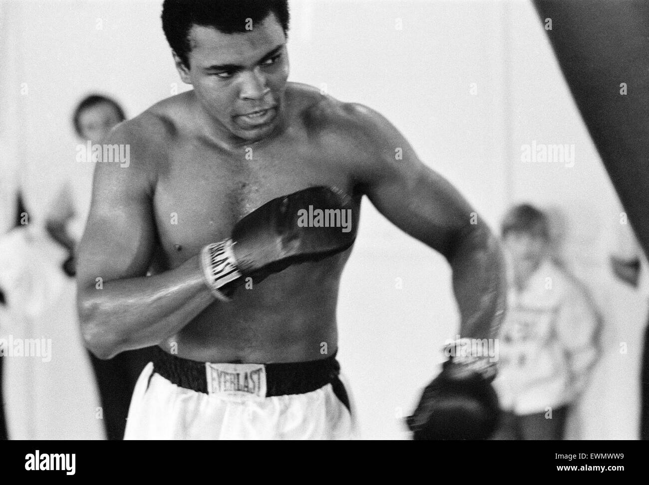 Muhammad Ali in palestra prima del suo scontro con il fumo Joe Frazier che si terrà al Madison Square Garden di New York City. 4 Marzo 1971 Foto Stock