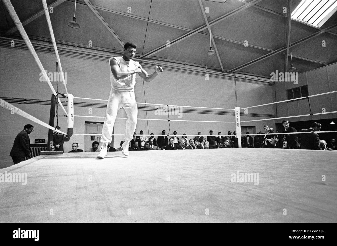 Cassio argilla successivamente diventato Muhammad Ali corsi di formazione per il suo secondo scontro con British Heavyweight Henry Cooper. Il 10 maggio 1966 Foto Stock