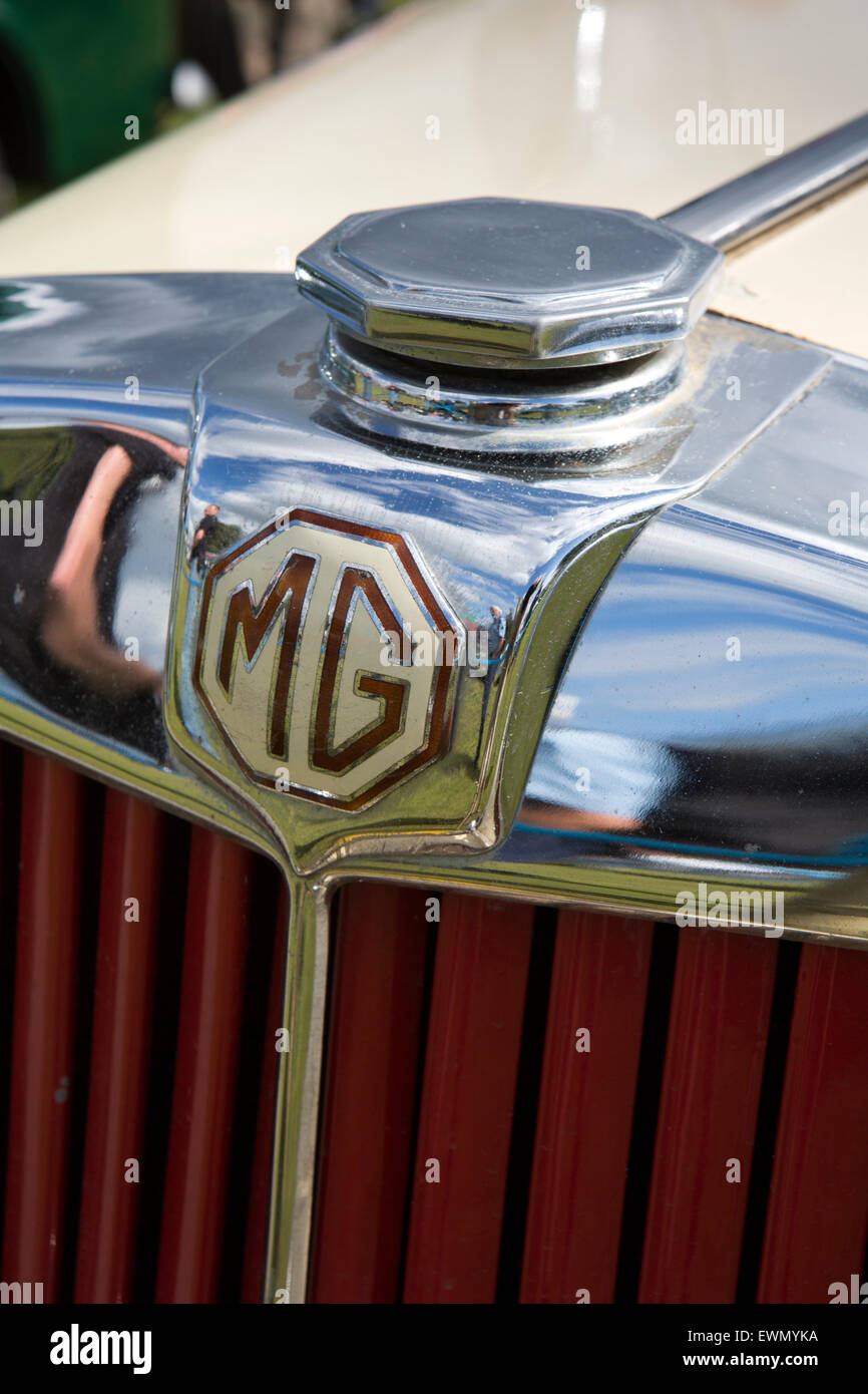 Regno Unito, Inghilterra, Cheshire, Chelford, Astle Parco motore trazione Rally, badge del radiatore e il tappo degli anni cinquanta MG TD Foto Stock
