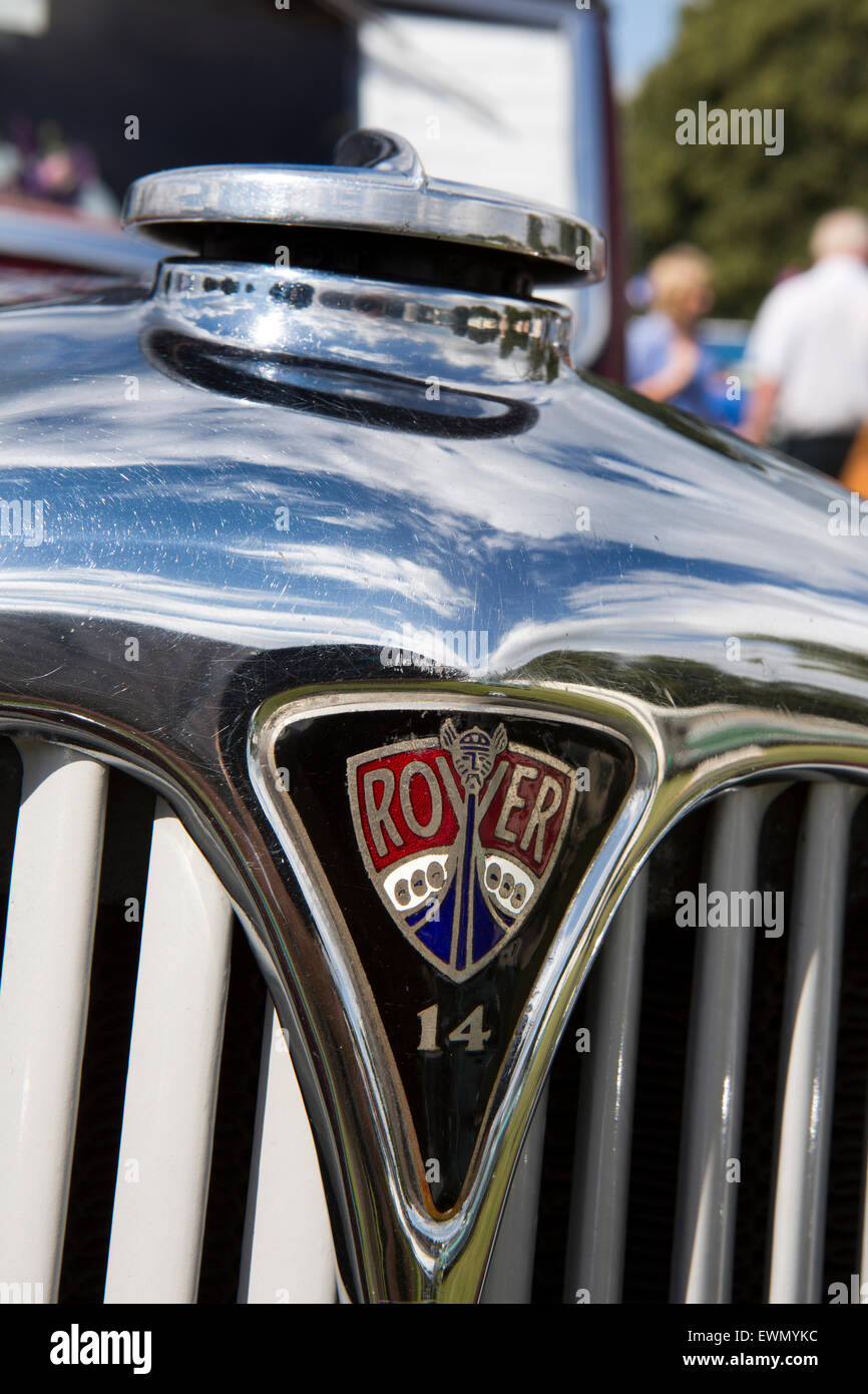 Regno Unito, Inghilterra, Cheshire, Chelford, Astle Parco motore trazione Rally, radiatore badge di 1930s Rover 14 auto Foto Stock