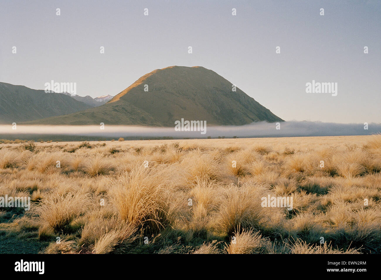 Mt sugarloaf in Nuova Zelanda all'alba con una lunga nuvola bianca tra graminacee. Foto Stock