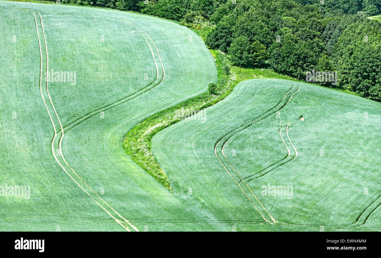 Natura verde sfondo astratto, campo fotografia aerea. Foto Stock