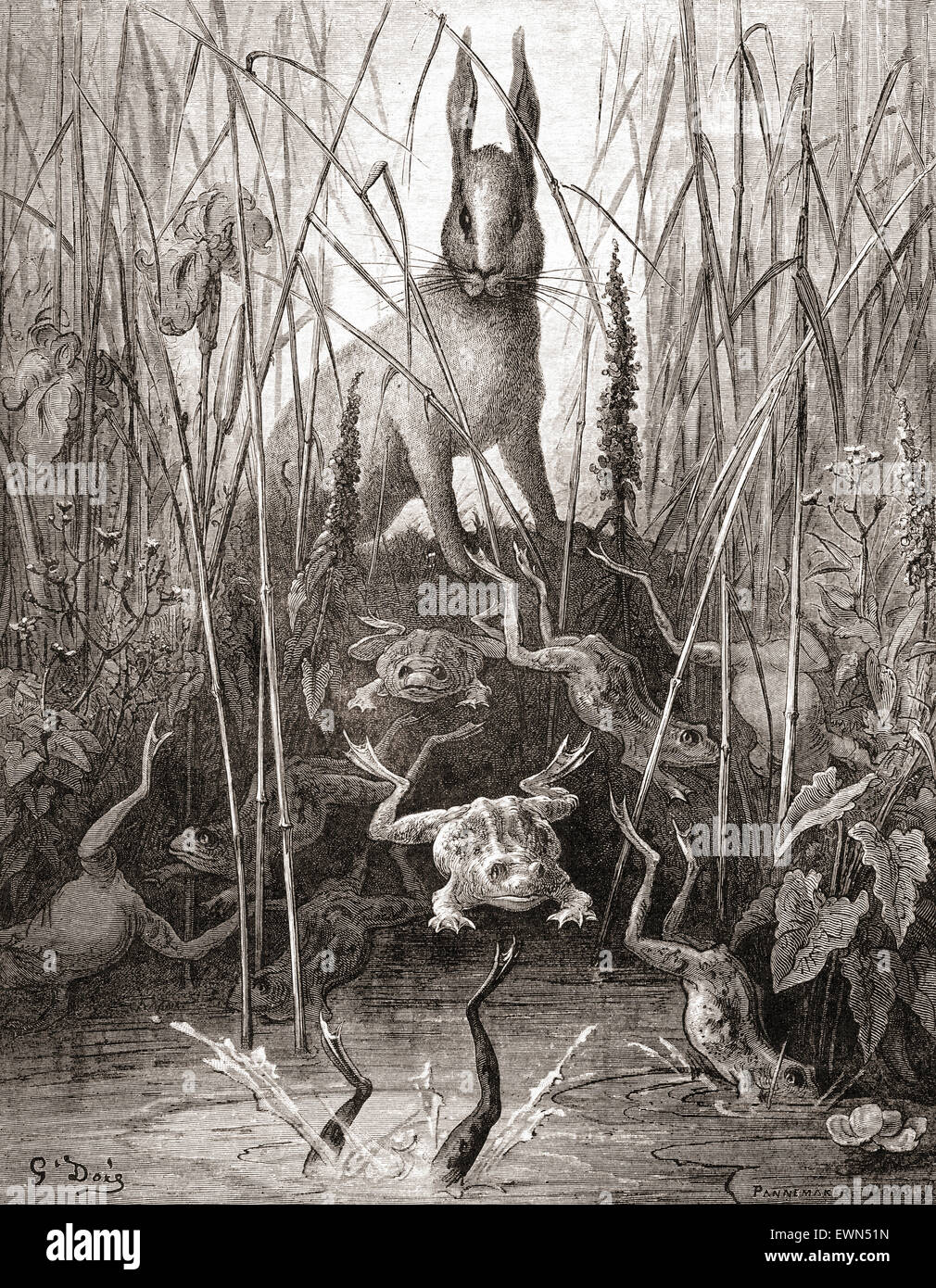 Gustave Doré dell'illustrazione di La Fontaine la favola la lepre e le rane, (Le Liévre et les Grenouilles). Foto Stock