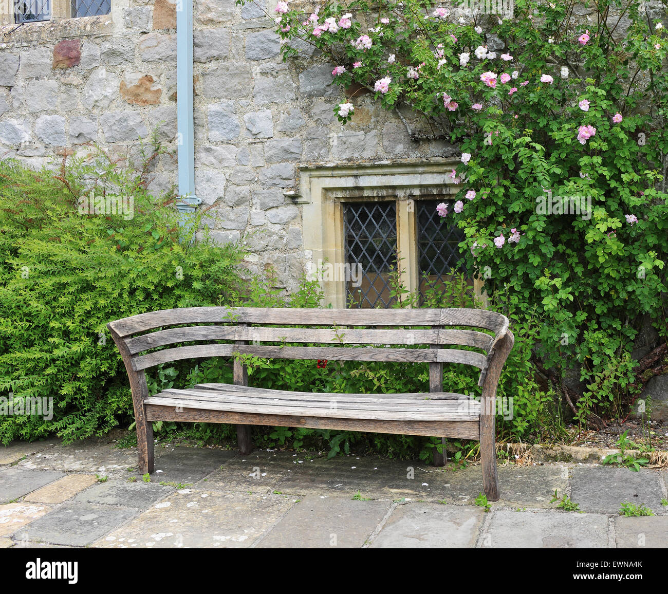Sedile unico in un inglese il giardino medievale con rose salire la parete dietro Foto Stock