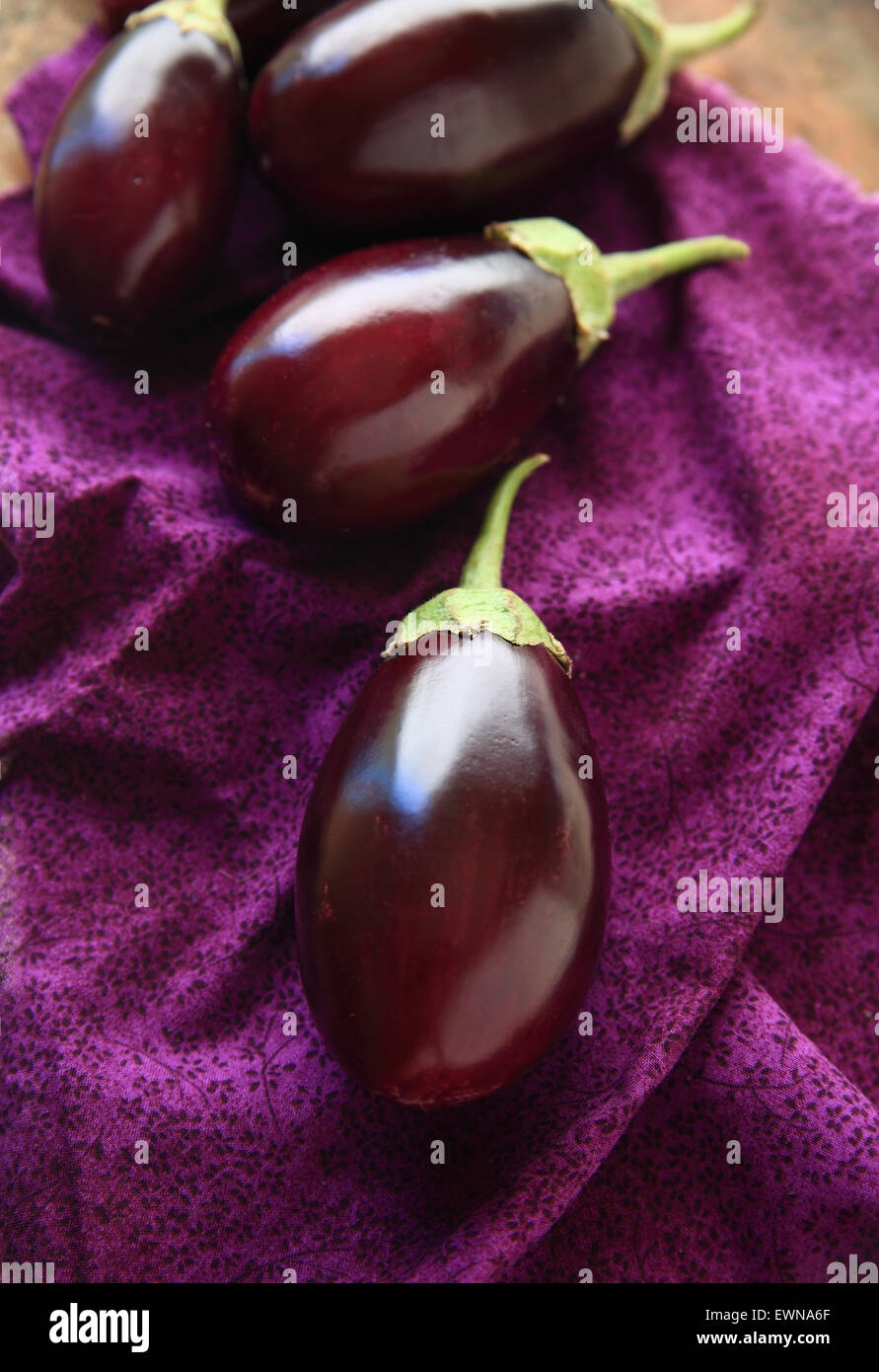 Viola melanzane su un panno floreali Foto Stock