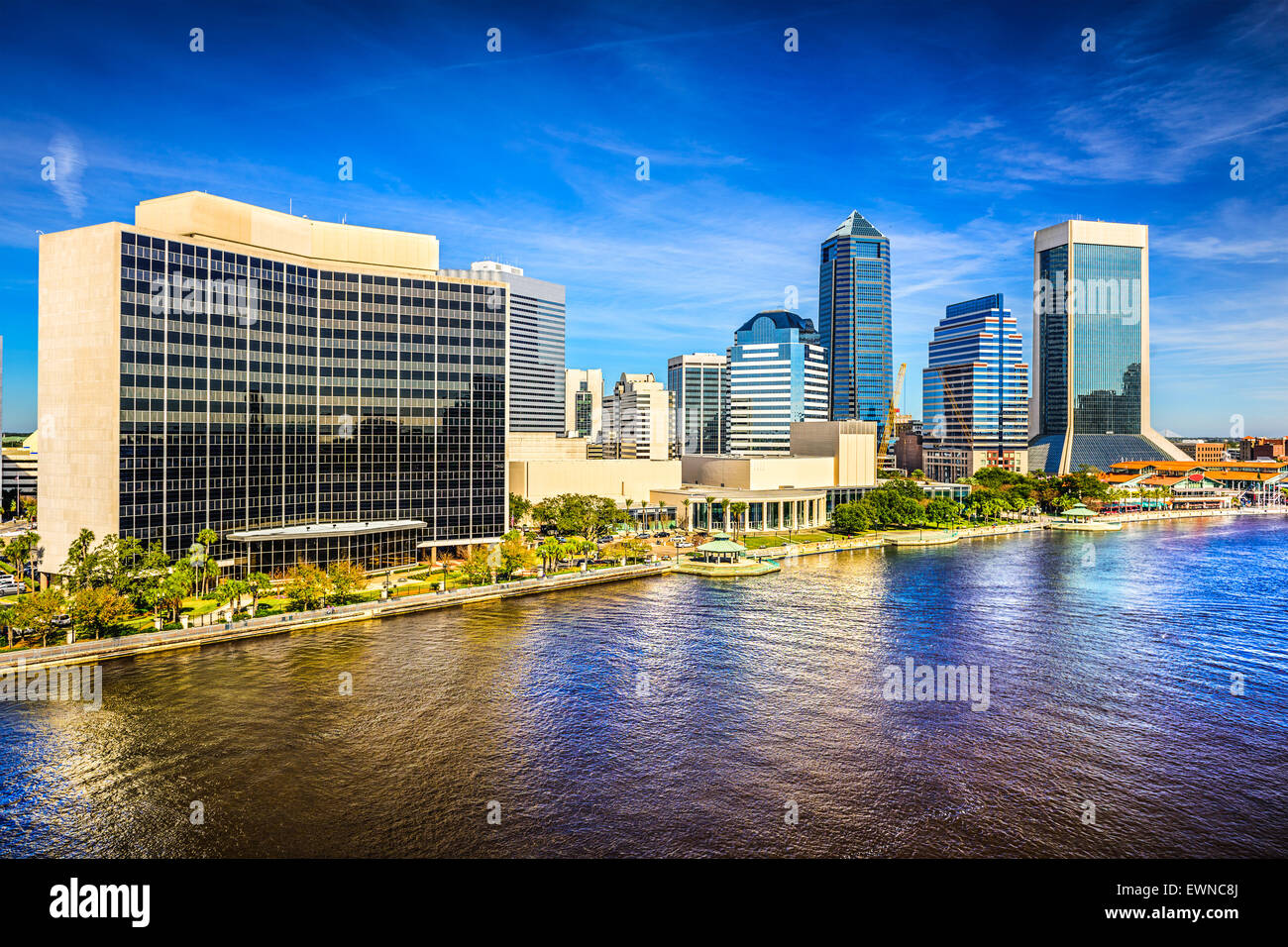 Jacksonville, Florida, Stati Uniti d'America downtown skyline della città sulla St Johns River. Foto Stock