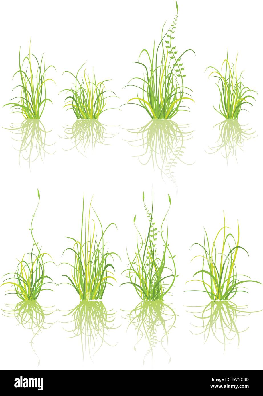 Set di erba verde - isolato su bianco Illustrazione Vettoriale