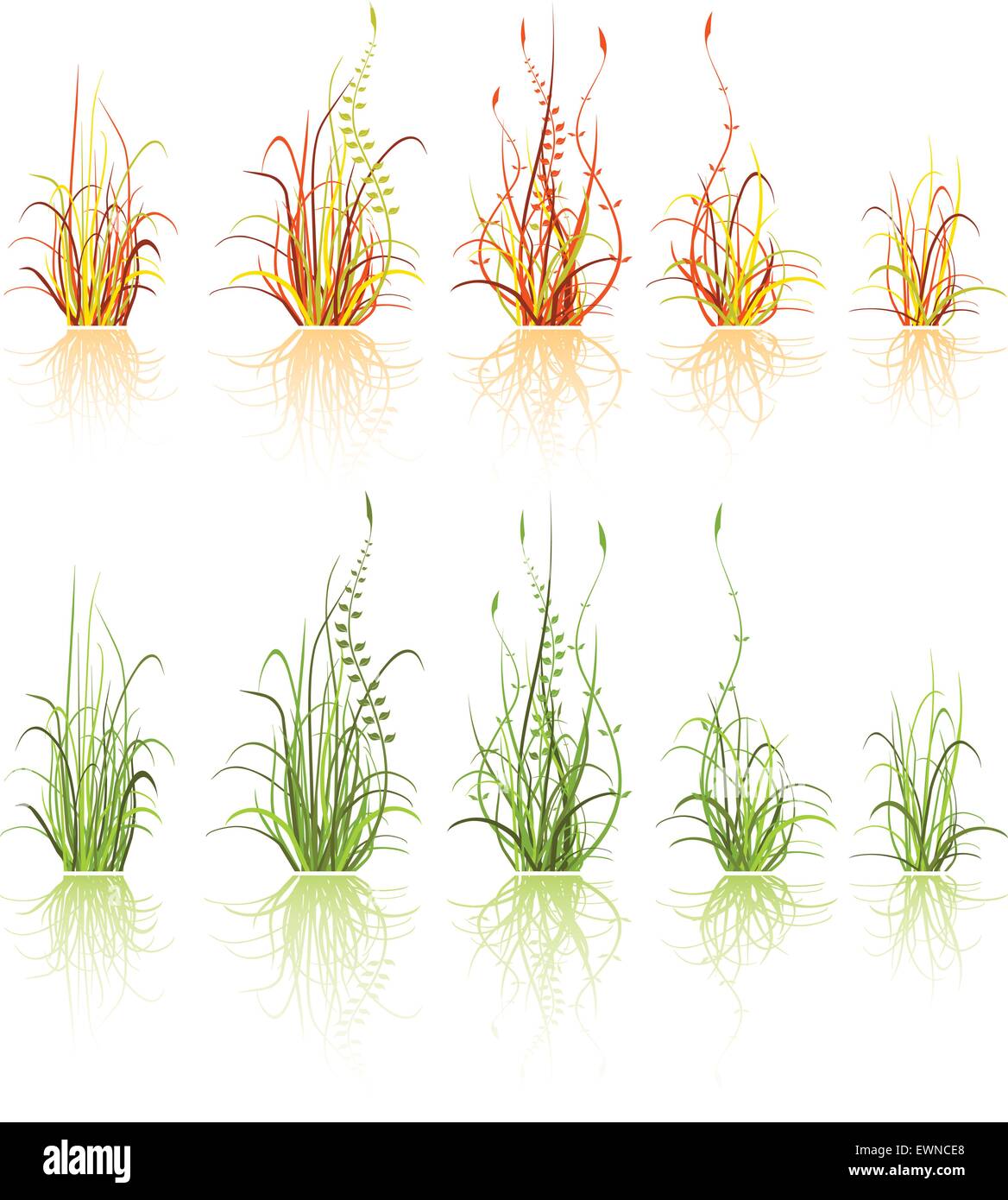 Set di elementi di design - erba isolato su bianco Illustrazione Vettoriale