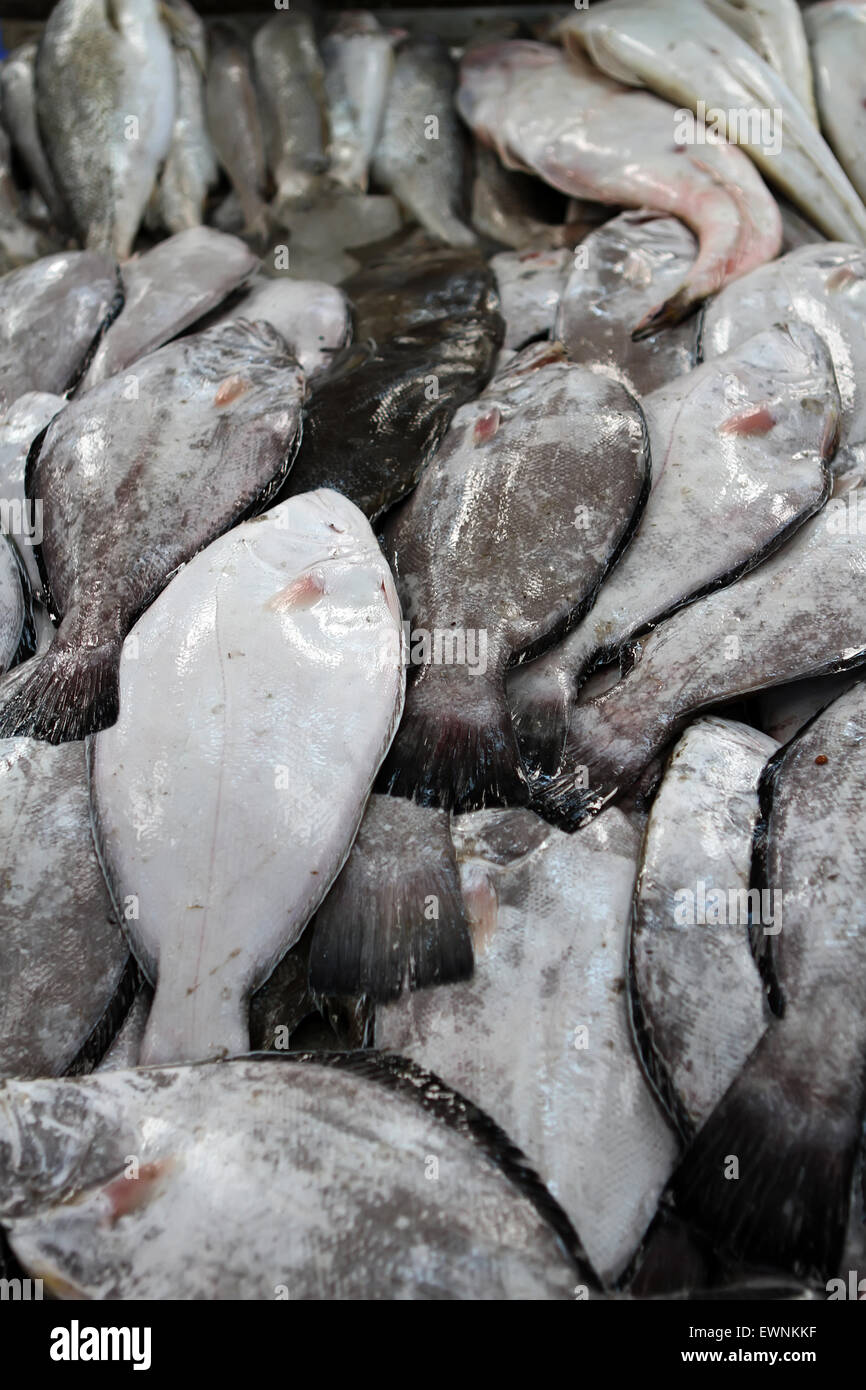 Pesce fresco sul mercato Foto Stock