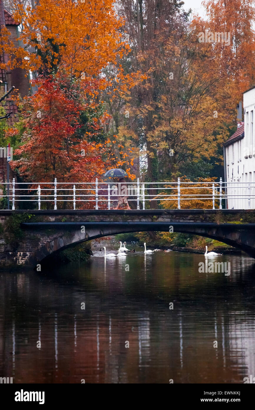 Canal scena, il centro storico di Bruges, Belgio Foto Stock