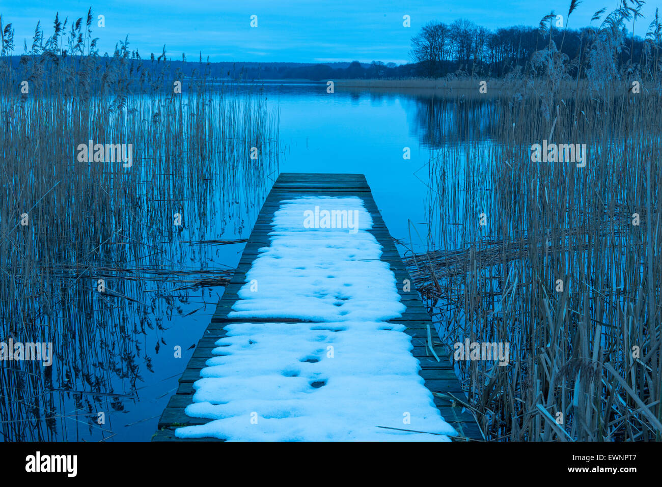 Fase di atterraggio in breiter luzin lago, feldberger seenlandschaft, Mecklenburgische Seenplatte district, mecklenburg-vorpommern, ge Foto Stock