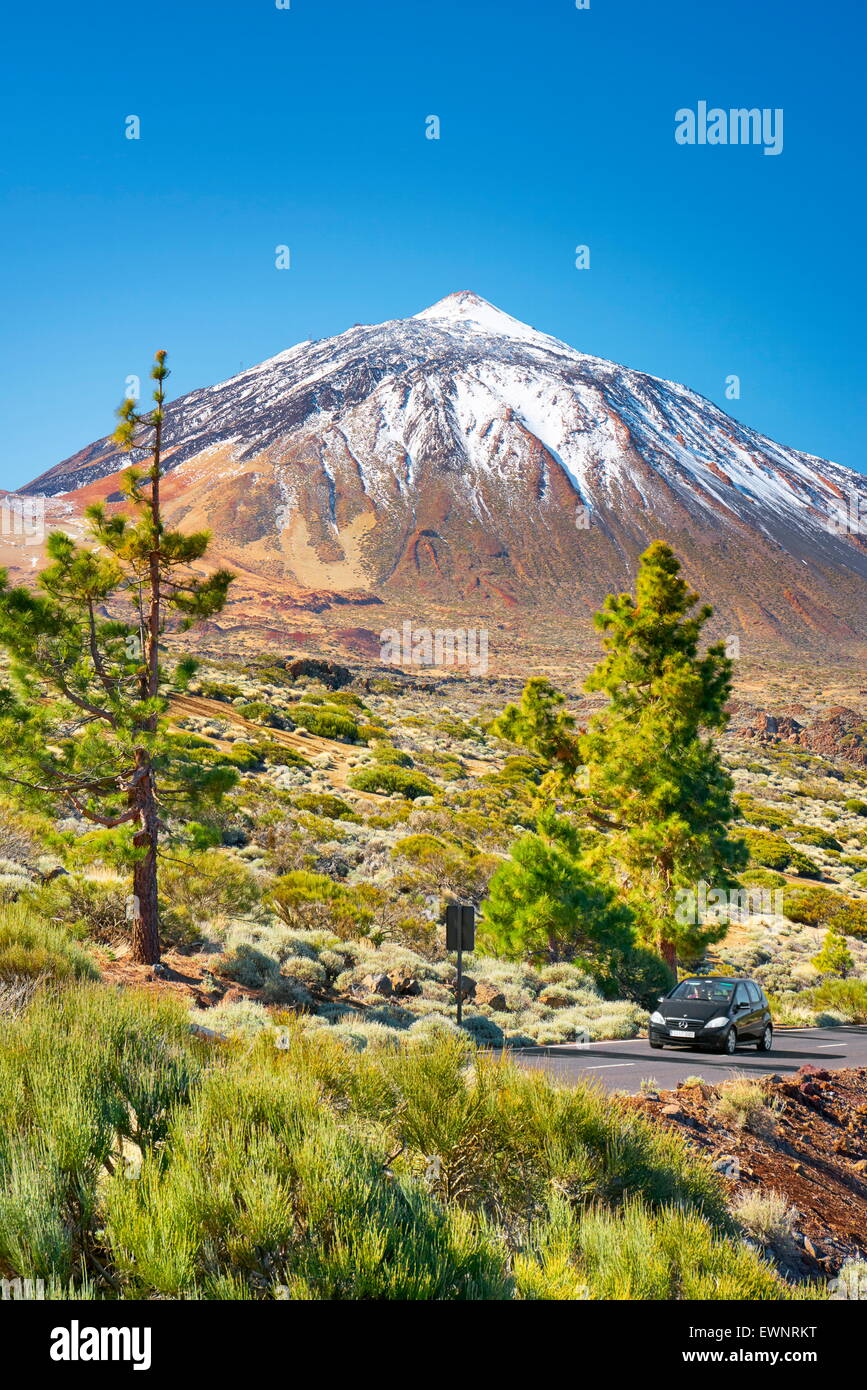 Il monte Teide, Parco Nazionale di Teide Isole Canarie, Tenerife, Spagna Foto Stock