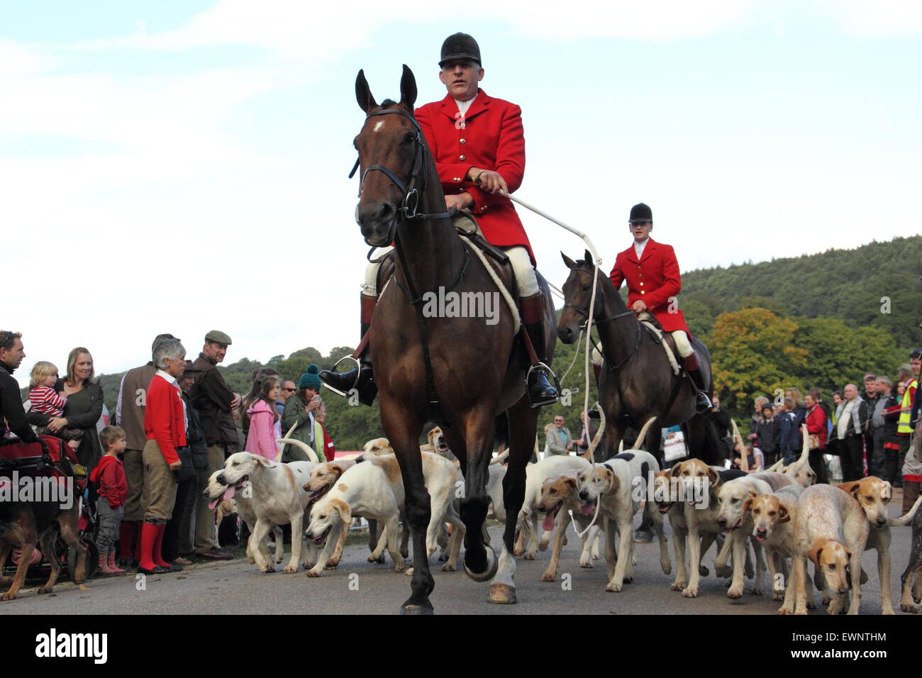 Una caccia con segugi assiste Chatsworth Country Fair, Peak District, DERBYSHIRE REGNO UNITO Inghilterra Foto Stock